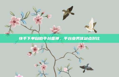 快手下单自助平台雷神,平台业务优缺点对比