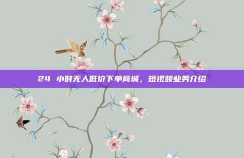 24 小时无人低价下单商城，短视频业务介绍
