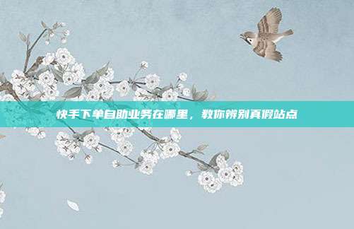 快手下单自助业务在哪里,教你辨别真假站点