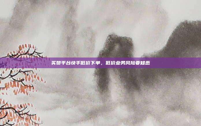 买赞平台快手低价下单，低价业务风险要知悉