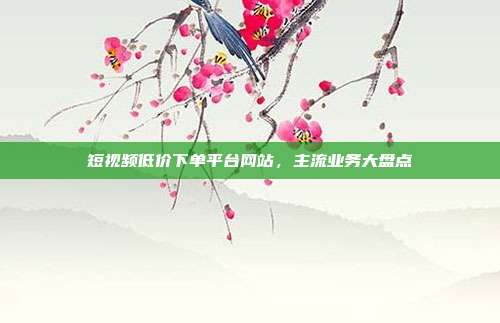 短视频低价下单平台网站,主流业务大盘点