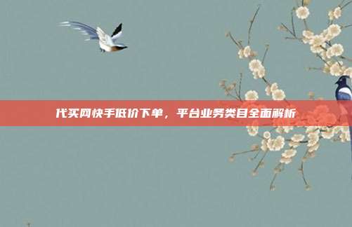 代买网快手低价下单，平台业务类目全面解析