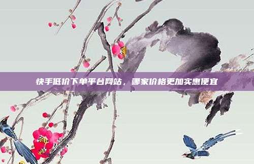 快手低价下单平台网站,哪家价格更加实惠便宜
