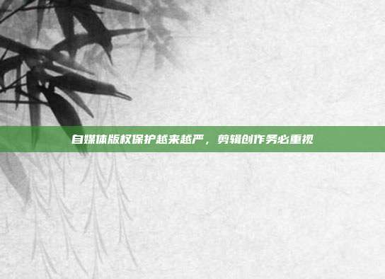 自媒体版权保护越来越严,剪辑创作务必重视