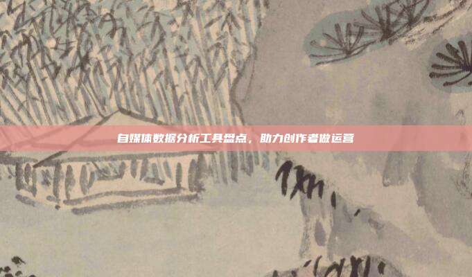 自媒体数据分析工具盘点,助力创作者做运营