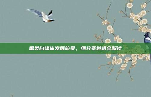 垂类自媒体发展前景,细分赛道机会解读