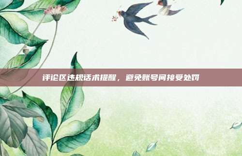 评论区违规话术提醒,避免账号间接受处罚