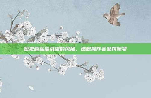 短视频私信引流的风险，违规操作会处罚账号
