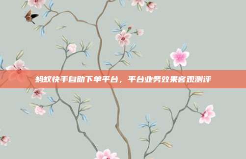 蚂蚁快手自助下单平台，平台业务效果客观测评