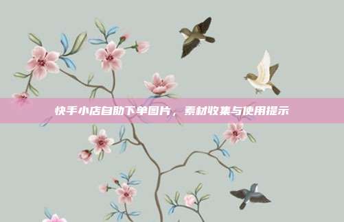 快手小店自助下单图片,素材收集与使用提示
