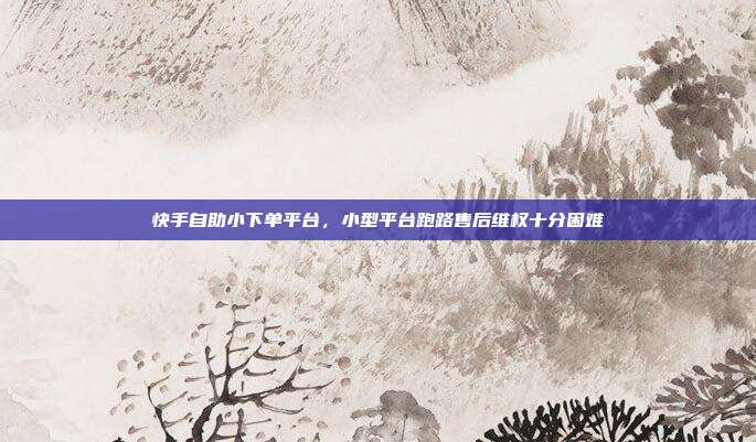 快手自助小下单平台,小型平台跑路售后维权十分困难