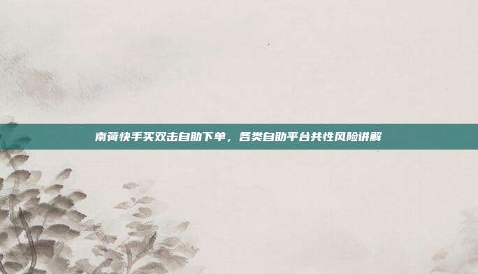南荷快手买双击自助下单,各类自助平台共性风险讲解
