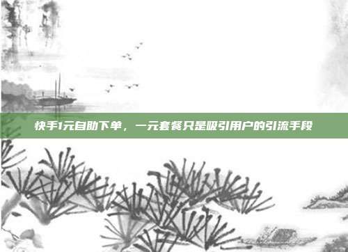 快手1元自助下单,一元套餐只是吸引用户的引流手段