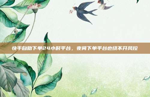 快手自助下单24小时平台，夜间下单平台也绕不开风控