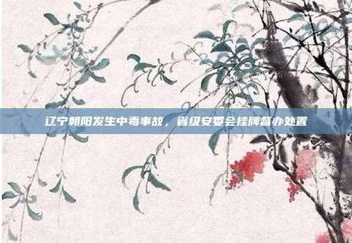 辽宁朝阳发生中毒事故,省级安委会挂牌督办处置
