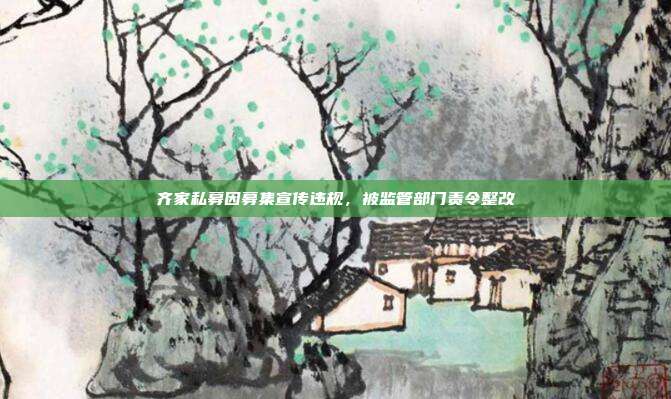齐家私募因募集宣传违规,被监管部门责令整改