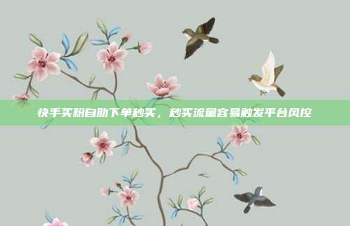 快手买粉自助下单秒买,秒买流量容易触发平台风控