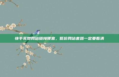 快手买赞网站链接便宜,低价网站套路一定要看清