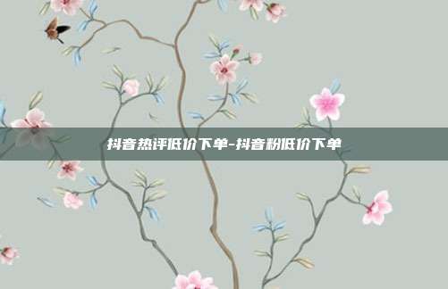 抖音热评低价下单-抖音粉低价下单