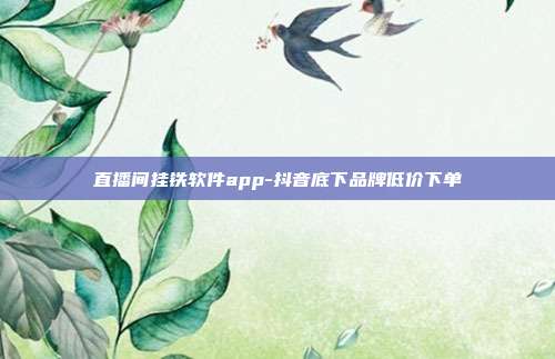 直播间挂铁软件app-抖音底下品牌低价下单
