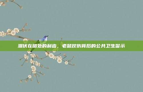 潜伏在暗处的利齿，老鼠咬伤背后的公共卫生警示