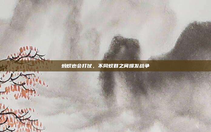 蚂蚁也会打仗,不同蚁群之间爆发战争