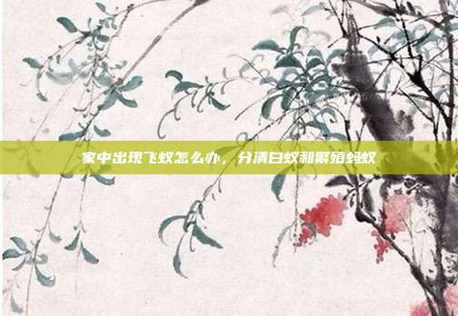 家中出现飞蚁怎么办,分清白蚁和繁殖蚂蚁