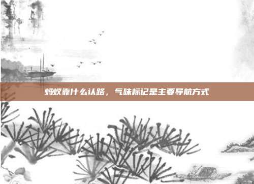 蚂蚁靠什么认路,气味标记是主要导航方式