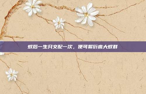 蚁后一生只交配一次,便可繁衍庞大蚁群