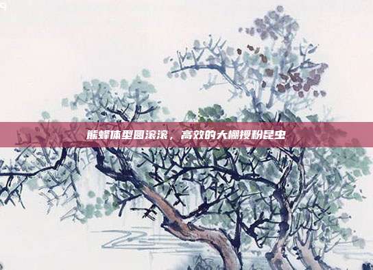 熊蜂体型圆滚滚,高效的大棚授粉昆虫
