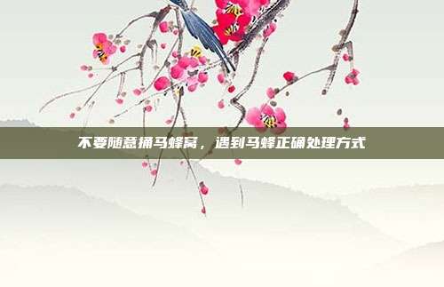 不要随意捅马蜂窝，遇到马蜂正确处理方式