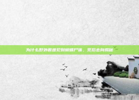 为什么野外很难见到蝴蝶尸体,死后去向揭秘