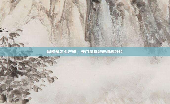 蝴蝶是怎么产卵,专门挑选特定植物叶片