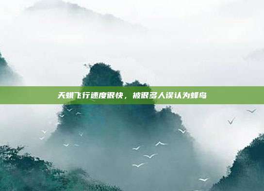 天蛾飞行速度很快,被很多人误认为蜂鸟