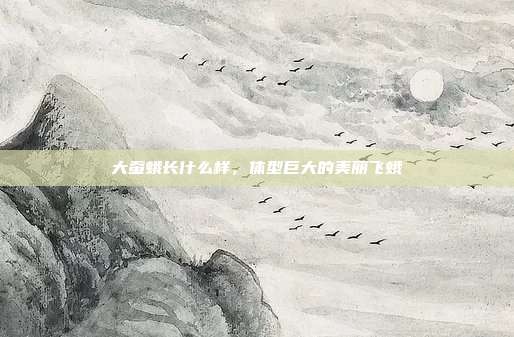 大蚕蛾长什么样,体型巨大的美丽飞蛾