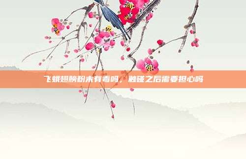 飞蛾翅膀粉末有毒吗,触碰之后需要担心吗