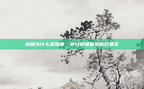 蛱蝶为什么爱腐果，部分蝴蝶偏爱腐烂果实