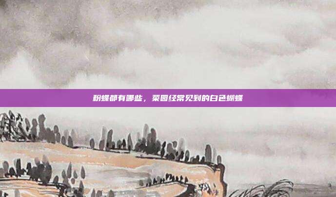 粉蝶都有哪些,菜园经常见到的白色蝴蝶