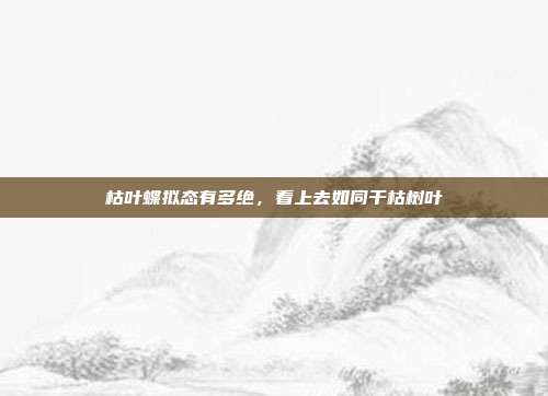 枯叶蝶拟态有多绝,看上去如同干枯树叶
