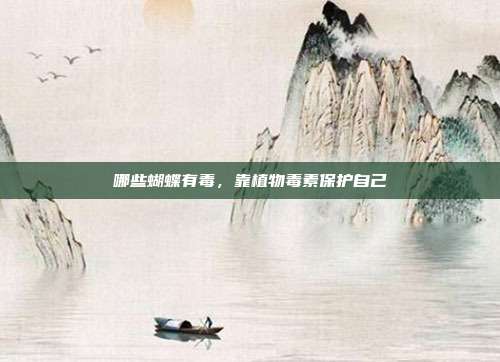 哪些蝴蝶有毒，靠植物毒素保护自己