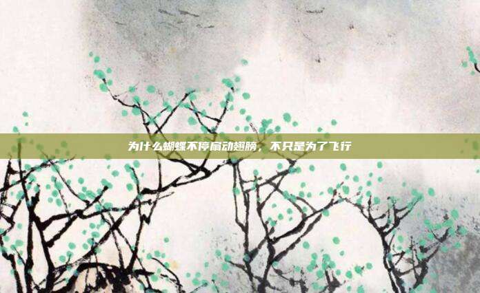 为什么蝴蝶不停扇动翅膀,不只是为了飞行