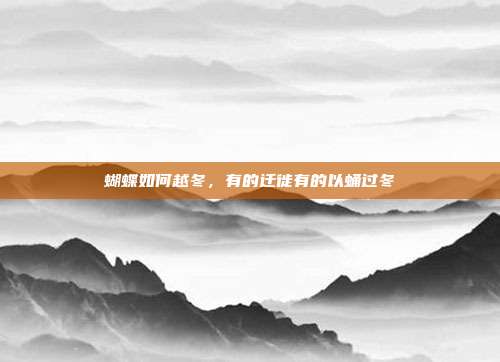 蝴蝶如何越冬，有的迁徙有的以蛹过冬