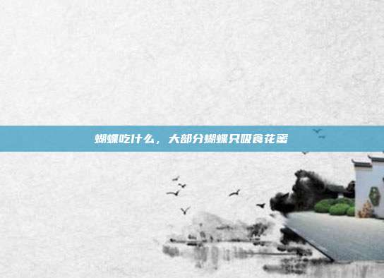 蝴蝶吃什么,大部分蝴蝶只吸食花蜜