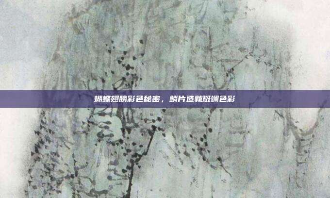 蝴蝶翅膀彩色秘密,鳞片造就斑斓色彩