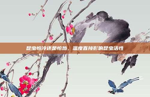 昆虫怕冷还是怕热，温度直接影响昆虫活性