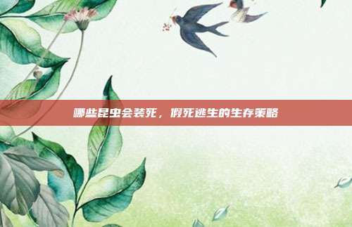 哪些昆虫会装死,假死逃生的生存策略