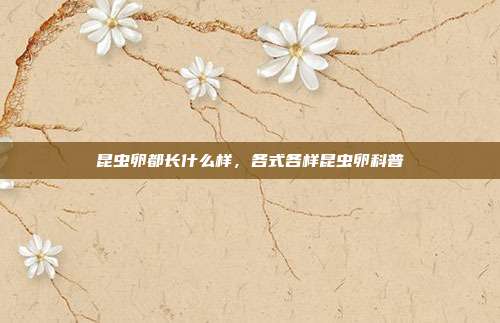 昆虫卵都长什么样，各式各样昆虫卵科普
