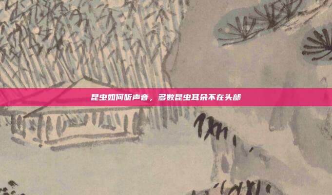 昆虫如何听声音,多数昆虫耳朵不在头部