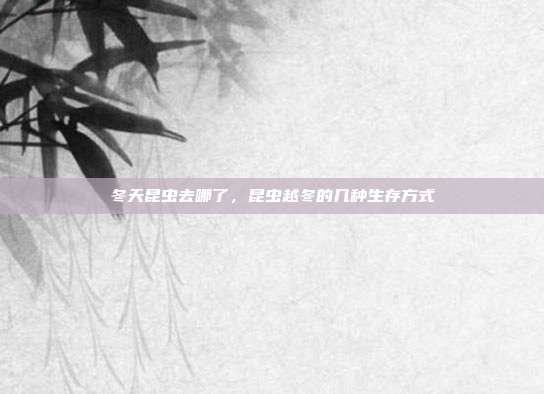 冬天昆虫去哪了,昆虫越冬的几种生存方式