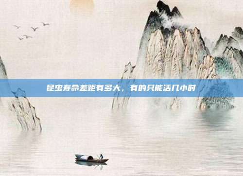 昆虫寿命差距有多大，有的只能活几小时